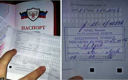 прописка в Павлово